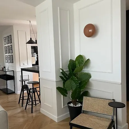 Stan Na Dan - Chic 巴尼西卢卡